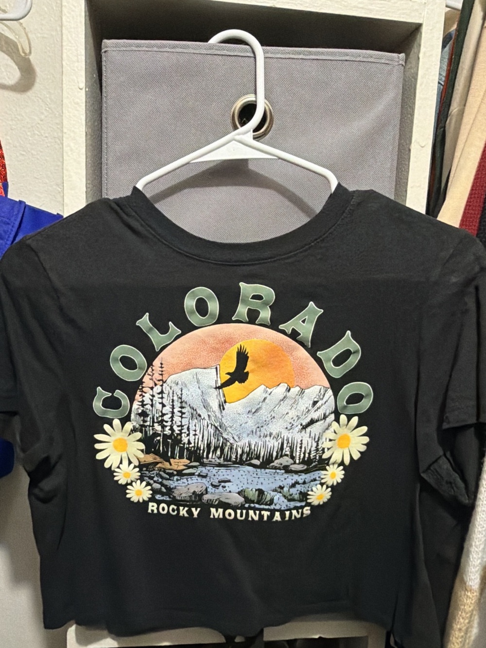 Black Colorado Rocky Mountains Crop Tee - Unbranded